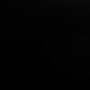 Meet your Posher, Owen